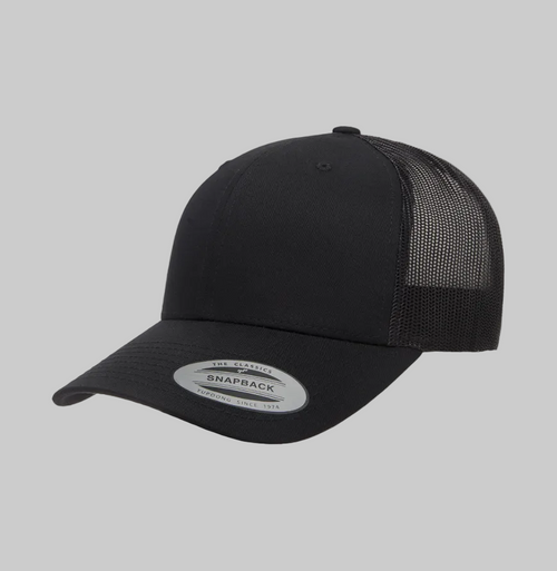 Disc Golf 6 Panel Snapback Hat