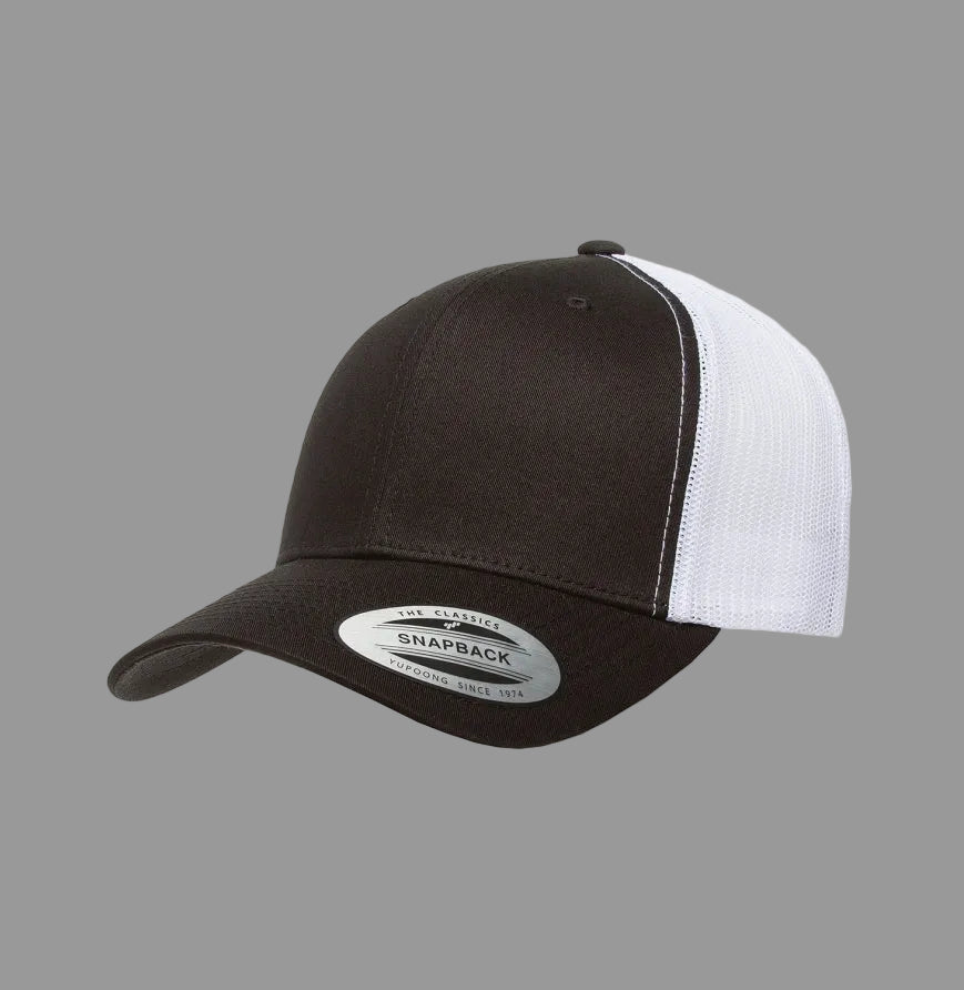 Disc Golf 6 Panel Snapback Hat