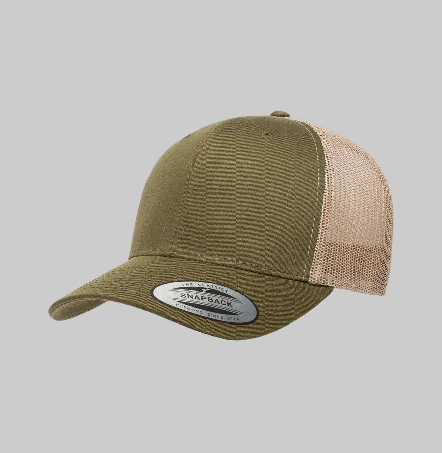 Disc Golf 6 Panel Snapback Hat