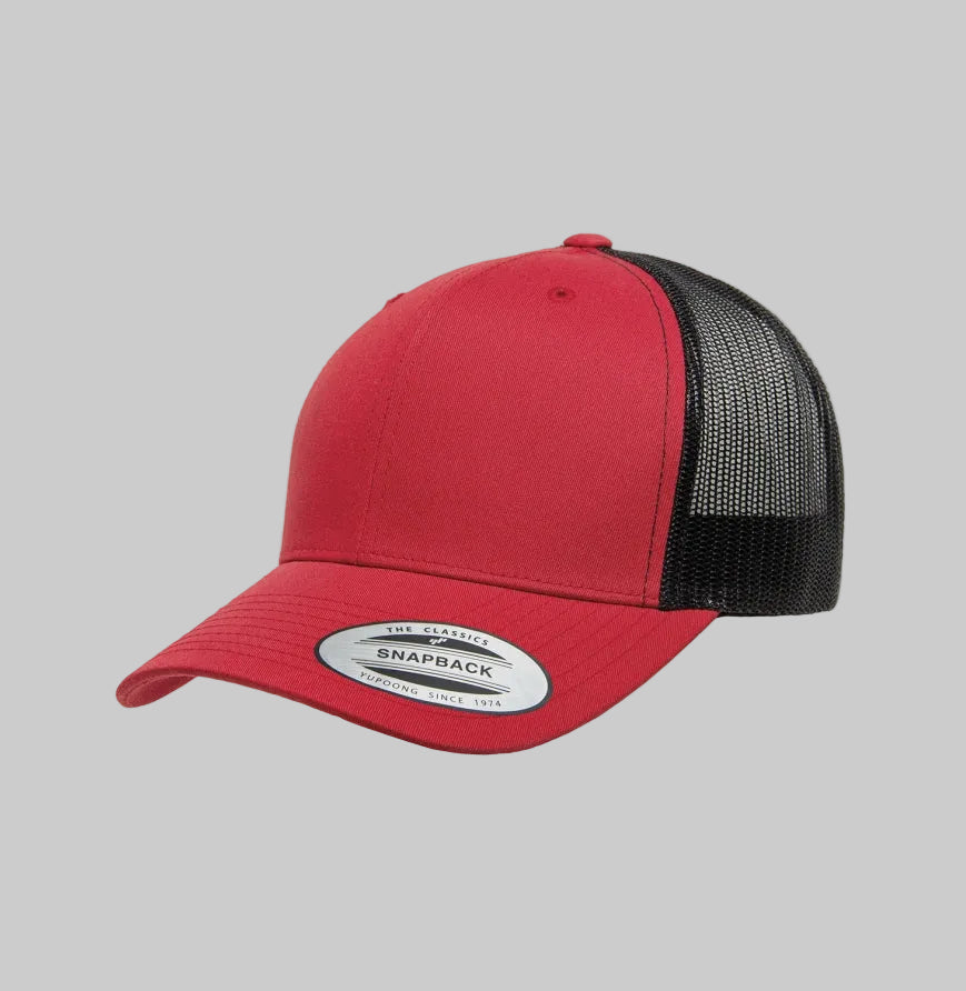 Disc Golf 6 Panel Snapback Hat
