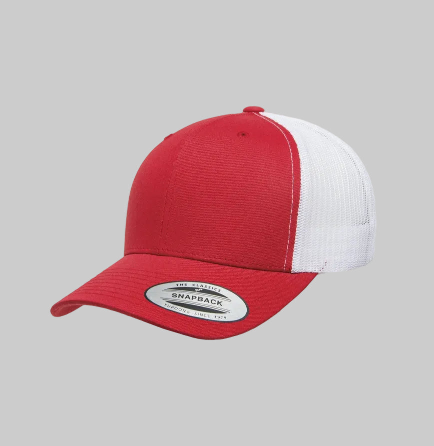 Disc Golf 6 Panel Snapback Hat