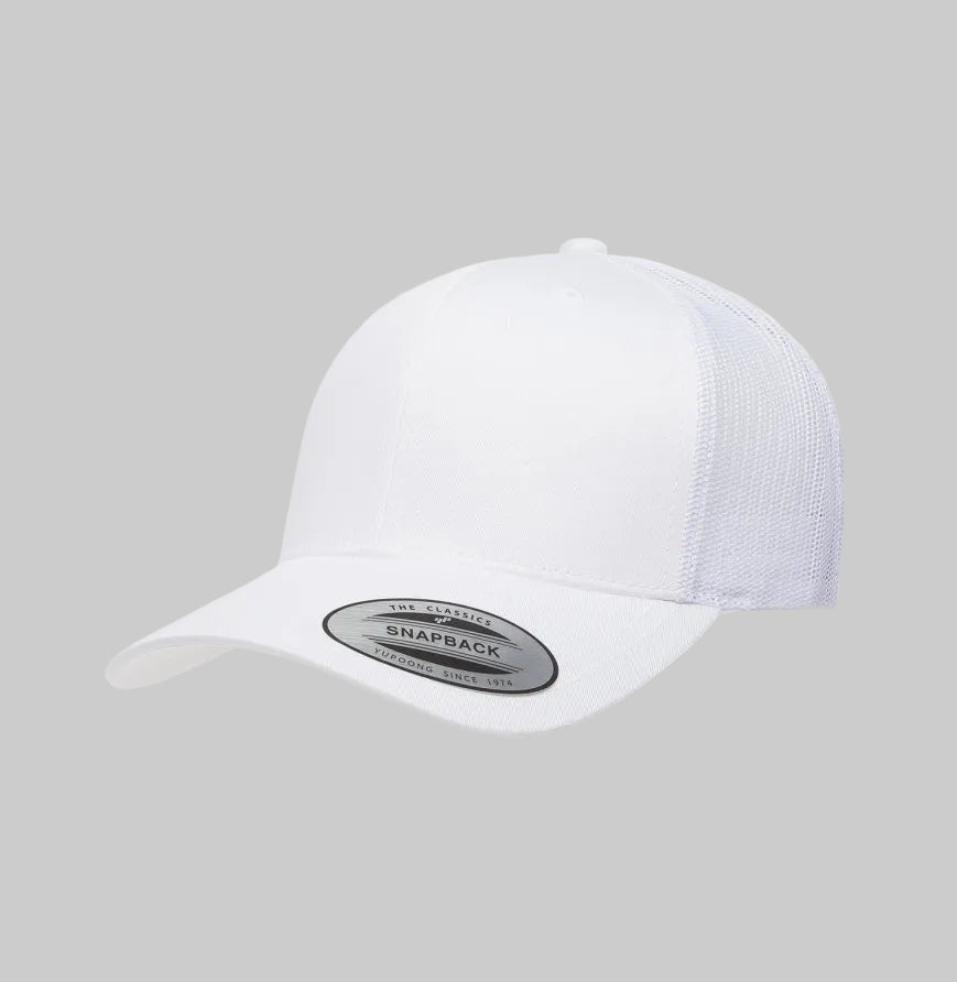 Disc Golf 6 Panel Snapback Hat